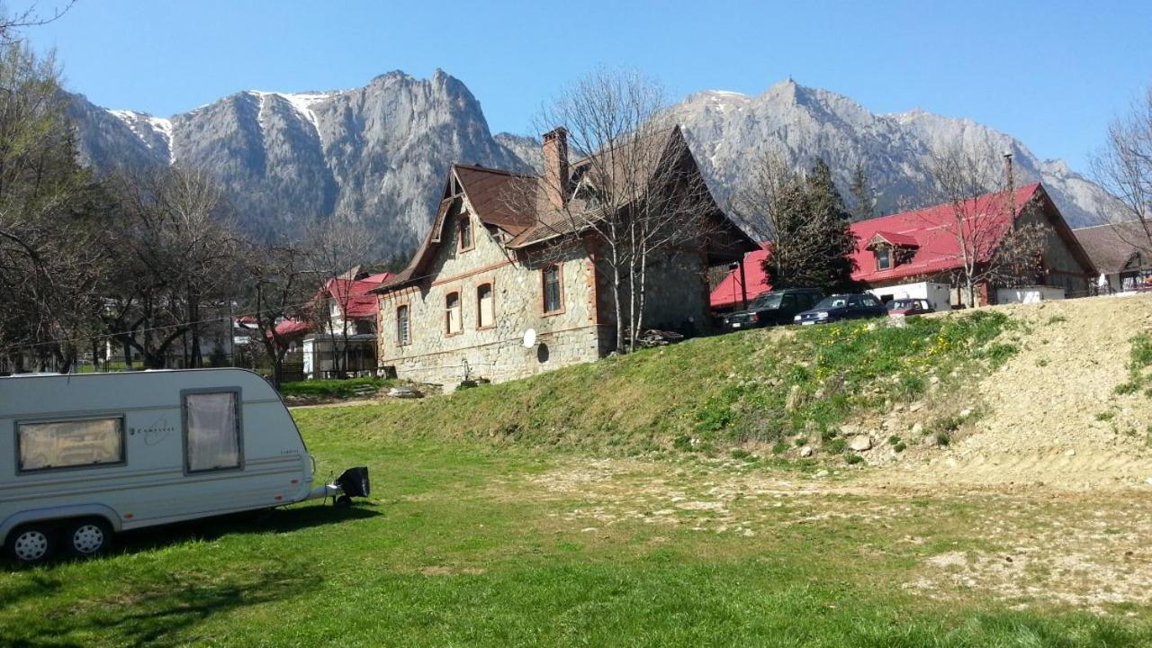 Camping Aviator Busteni, camere Exterior foto